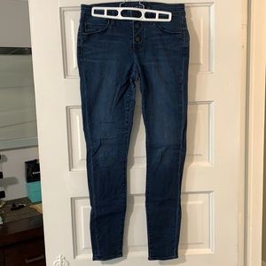 Articles of Society Button Up Jean